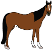 male