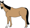 male
